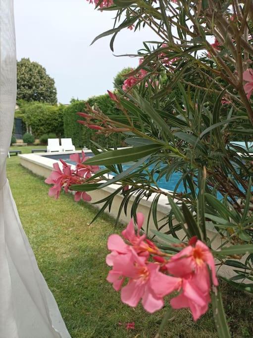 Le Cabanon Tendance Du Luberon Mérindol Екстериор снимка
